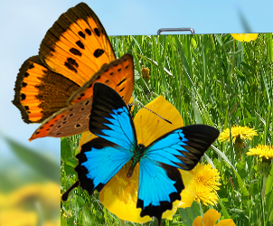 多宝电竞小间距LED显示屏的魅力所在